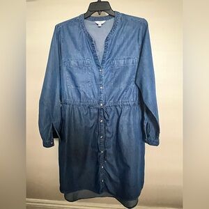 Time and Tru Chambray Denim Shirt Dress